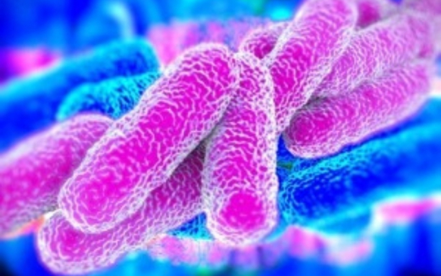 Protetto LEGIONELLA linee guida