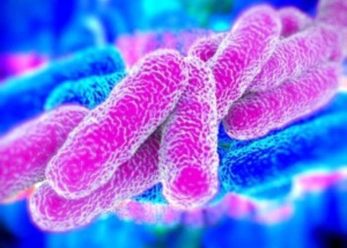 Protetto LEGIONELLA linee guida