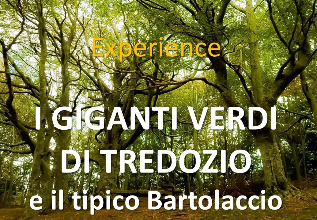 I GIGANTI VERDI DI TREDOZIO e il tipico Bartolaccio (28 novembre)