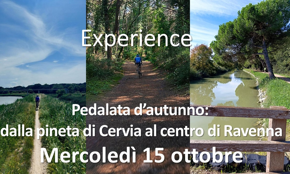 Pedalata d’autunno: dalla pineta di Cervia al centro di Ravenna